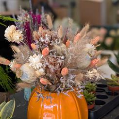 Pumpkin in dried or fresh florals